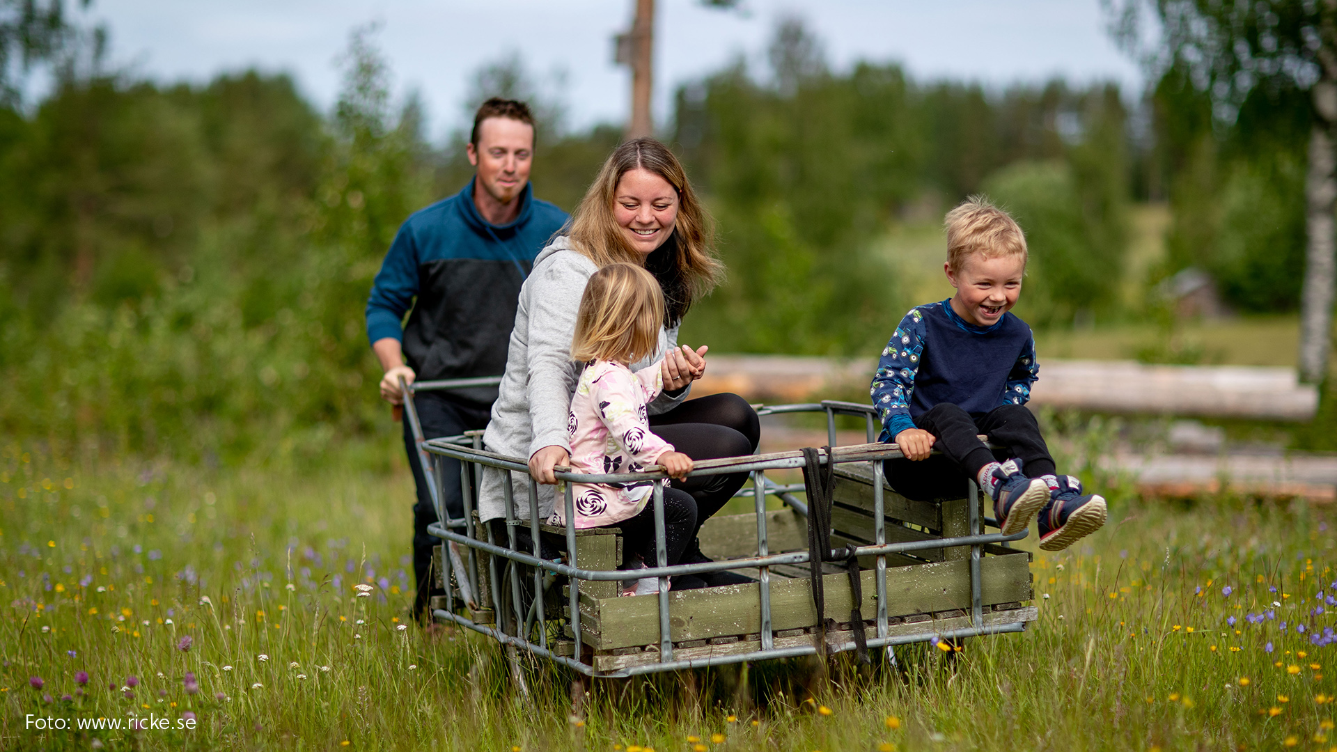 Norsjö kommun
