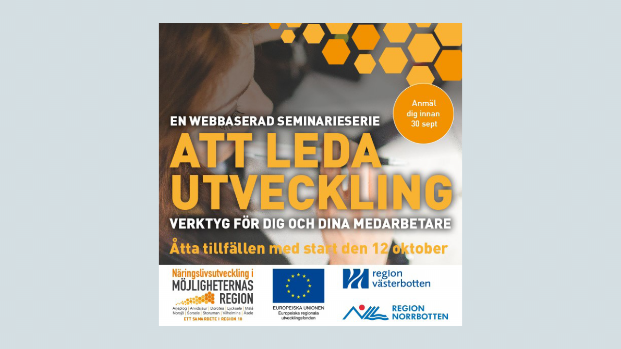 Bild med texten "Att leda utveckling"