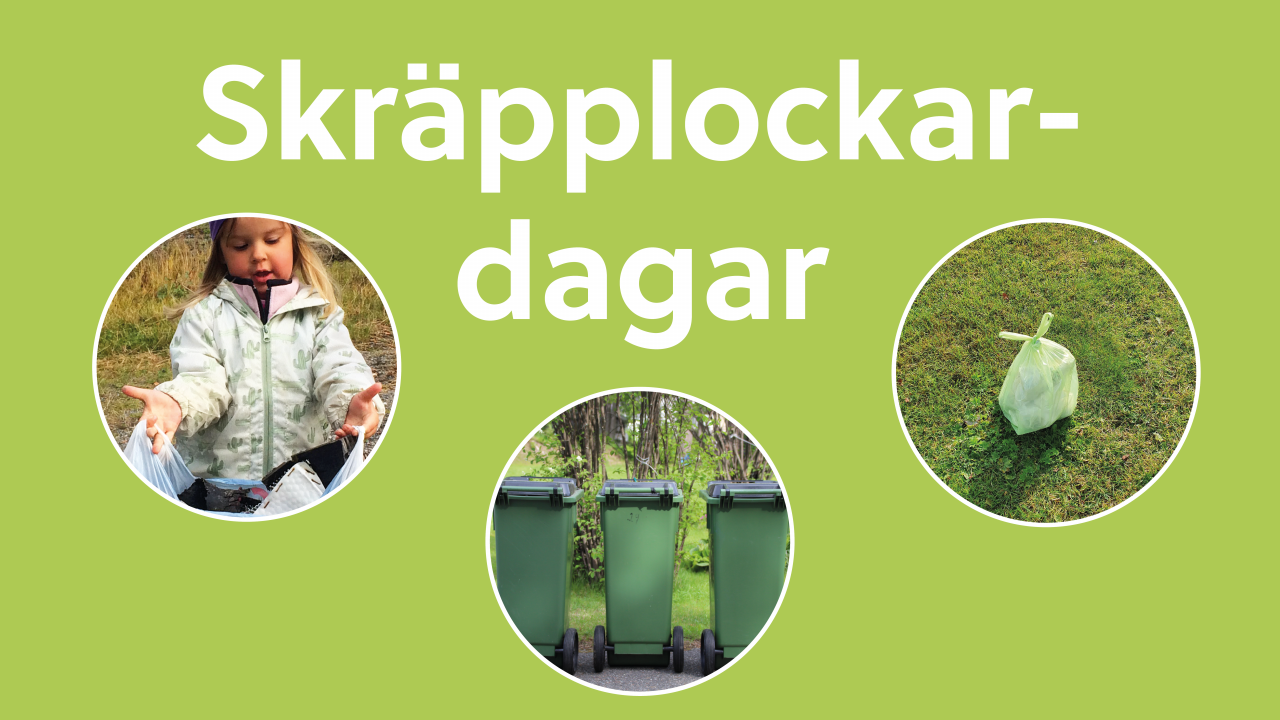 Ljsugrön bild med texten "Skräpplockardagar" i vitt. Tre cirklar med bilder som föreställer en soppåse, en skräpplockare och tre soptunnor.