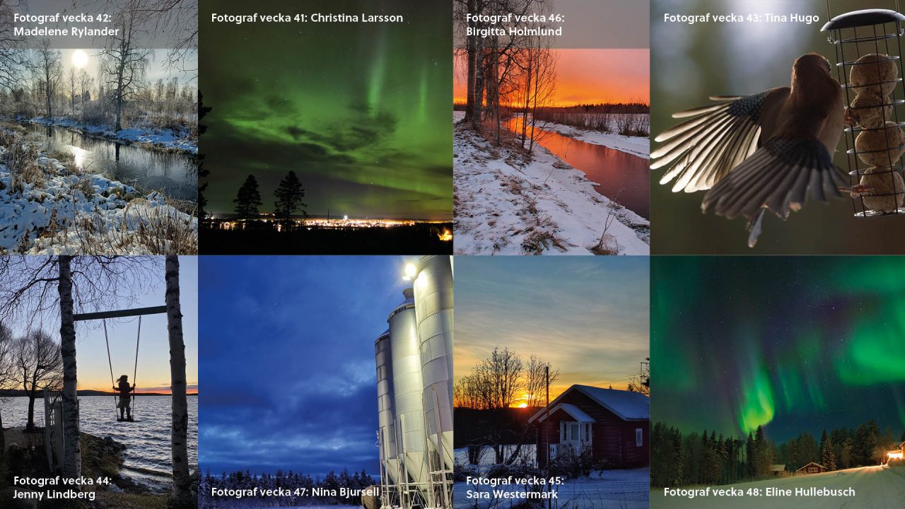 Collage med bilder från Norsjöbygden.