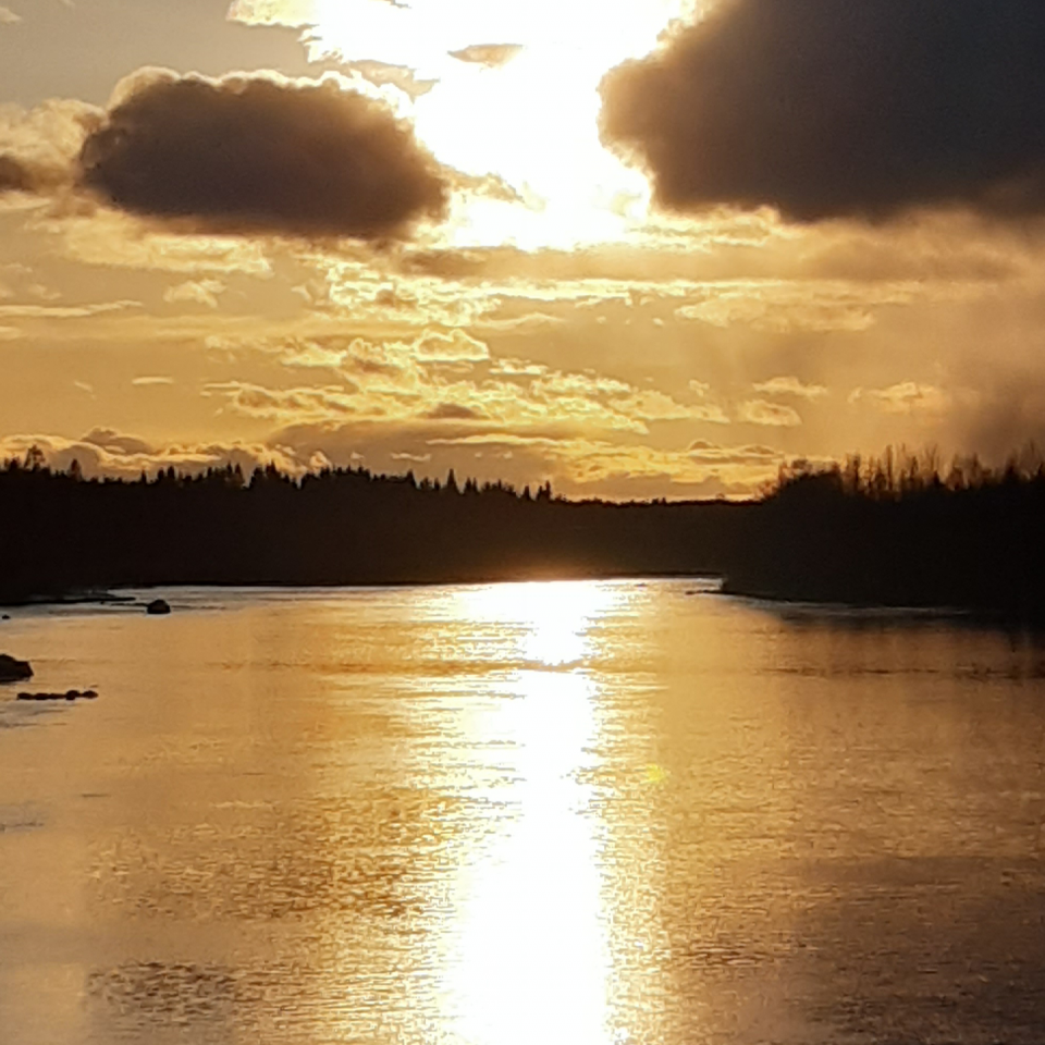 Vy över Skellefteälven. Solnedgång, gula toner i bilden.