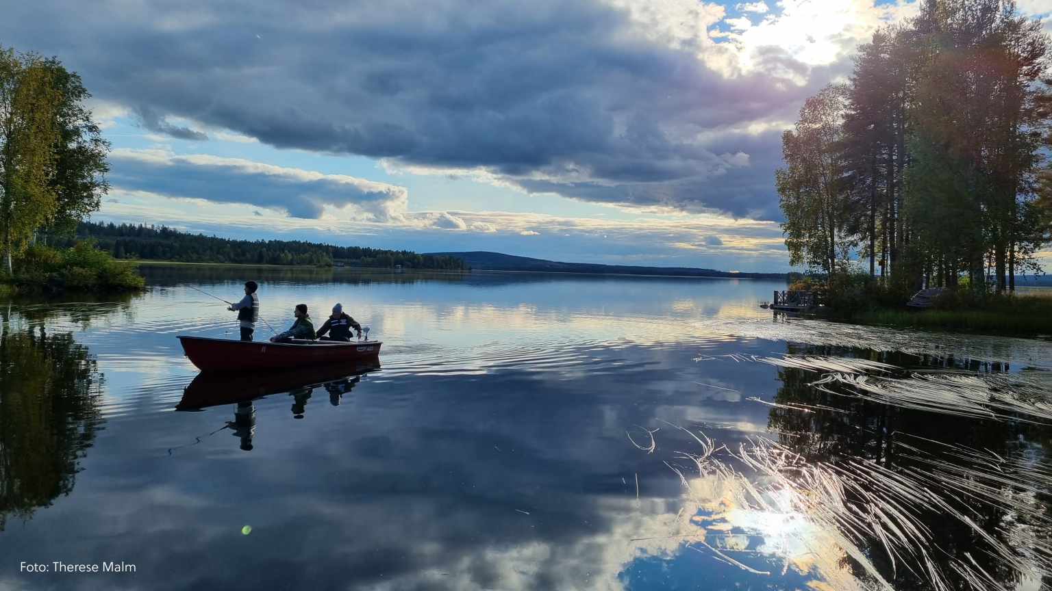 Norsjö kommun